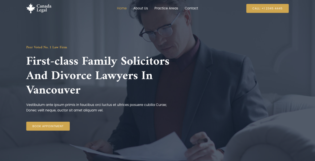 Litigation Law Website